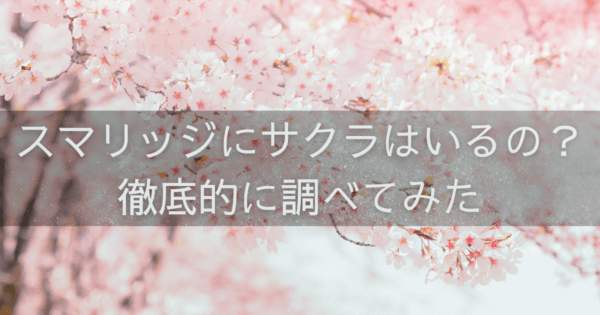 スマリッジにサクラはいるの？徹底的に調べてみた